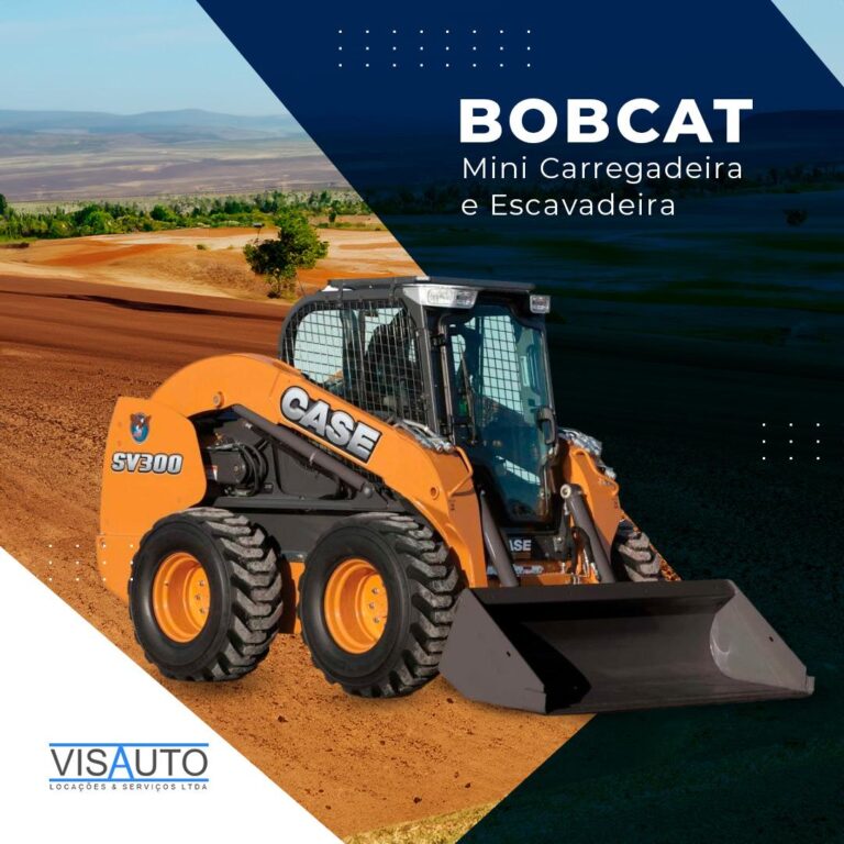 Bob cat